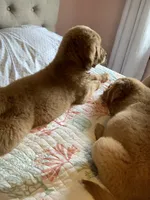 processed/be041148-cf2b-4756-b04b-f7f0e9c5f2d9/facility/644de399-b849-4115-851c-5e6f0e850706