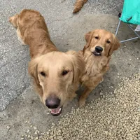 processed/be041148-cf2b-4756-b04b-f7f0e9c5f2d9/facility/989e0211-85d6-404a-afe3-9c586d5b0858