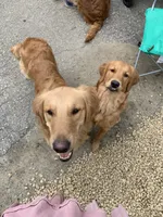 processed/be041148-cf2b-4756-b04b-f7f0e9c5f2d9/facility/989e0211-85d6-404a-afe3-9c586d5b0858