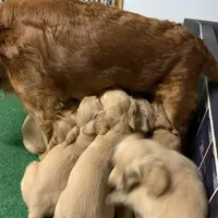 processed/be041148-cf2b-4756-b04b-f7f0e9c5f2d9/facility/b62ffb89-c6b5-4845-b52d-6744c6fb860f