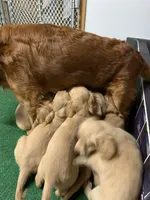 processed/be041148-cf2b-4756-b04b-f7f0e9c5f2d9/facility/b62ffb89-c6b5-4845-b52d-6744c6fb860f