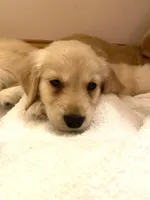 processed/be041148-cf2b-4756-b04b-f7f0e9c5f2d9/facility/c1b4fd2d-0908-47ee-b11c-095ae2959c5f