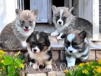 processed/be04e857-bd11-4924-8e1f-6b3bf85f1386/facility/28519046-bca6-4a61-88af-4ebba8fe6607