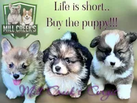 processed/be04e857-bd11-4924-8e1f-6b3bf85f1386/facility/65fa9c21-3fb2-4ff3-964f-0883405b8cce