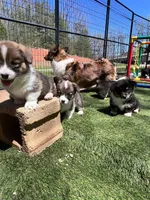 processed/be04e857-bd11-4924-8e1f-6b3bf85f1386/facility/76a24437-64b6-47ad-b092-7da918b80740