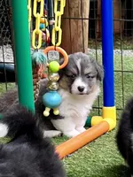 processed/be04e857-bd11-4924-8e1f-6b3bf85f1386/facility/f07bcc21-e247-4b85-b326-00e736987186