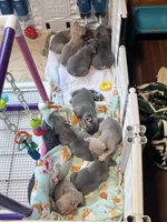 processed/be04e857-bd11-4924-8e1f-6b3bf85f1386/facility/f4925a67-1857-4cbf-b858-266266594ec4