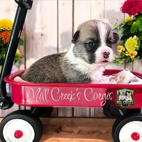 processed/be04e857-bd11-4924-8e1f-6b3bf85f1386/facility/f4f61454-d7e4-4ea6-a1b0-e9df4960d188