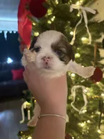 processed/be0f228d-d667-47da-9e73-e0aef4249441/listing/31149e7f-1f51-46a0-807e-89a499675fb2/1b796f19-e84c-4cff-ae3d-b864085438d6