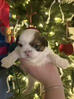 processed/be0f228d-d667-47da-9e73-e0aef4249441/listing/31149e7f-1f51-46a0-807e-89a499675fb2/389fed11-0e80-4a5e-8cda-9f9921d531be