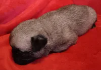 processed/be1b003a-d6b8-48ea-a8d3-09711aba91d0/listing/fdae2975-094a-4c83-ab39-bfaaa9b8e404/871f4d71-ad56-4b98-8c35-a5857d21fd30