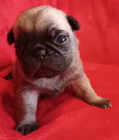 processed/be1b003a-d6b8-48ea-a8d3-09711aba91d0/listing/fdae2975-094a-4c83-ab39-bfaaa9b8e404/95af6c45-f39c-4c85-810e-3463aad5187a