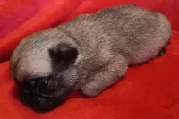 processed/be1b003a-d6b8-48ea-a8d3-09711aba91d0/listing/fdae2975-094a-4c83-ab39-bfaaa9b8e404/969158bc-efaa-4709-8cea-37dd7361142c