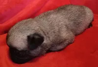 processed/be1b003a-d6b8-48ea-a8d3-09711aba91d0/listing/fdae2975-094a-4c83-ab39-bfaaa9b8e404/bd00dd39-d8d7-4098-b1e8-683b321b8fc7