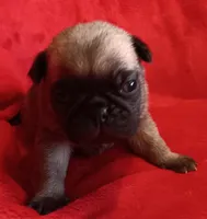 processed/be1b003a-d6b8-48ea-a8d3-09711aba91d0/listing/fdae2975-094a-4c83-ab39-bfaaa9b8e404/d4448d57-2657-48fa-9c22-8b7dbd0be23e