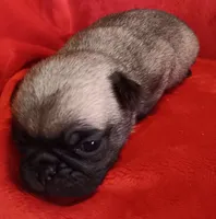 processed/be1b003a-d6b8-48ea-a8d3-09711aba91d0/listing/fdae2975-094a-4c83-ab39-bfaaa9b8e404/d58bb159-2d31-4a77-89b7-56a70d32eae5