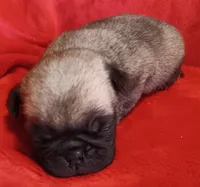 processed/be1b003a-d6b8-48ea-a8d3-09711aba91d0/listing/fdae2975-094a-4c83-ab39-bfaaa9b8e404/f1ecc8b9-e2c9-470c-8e09-87e65dca37c9