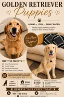 Light pink female, a female Golden Retriever for sale in Saint Augustine, FL – 2 of 2