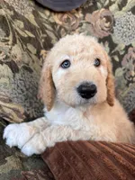 processed/be28ecac-3805-4ca2-a851-adab3a43f346/listing/009afe7c-4259-4905-9506-03254bf61308/18365c32-6866-4eae-ab8f-0a757d270e6f