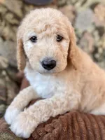 processed/be28ecac-3805-4ca2-a851-adab3a43f346/listing/009afe7c-4259-4905-9506-03254bf61308/d42702da-644a-45db-9914-c8680b5fe2d0