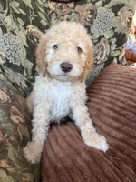 processed/be28ecac-3805-4ca2-a851-adab3a43f346/listing/16e1e02a-ad24-4eed-a798-d776c03cf718/0f352547-9d2b-4c18-bbfb-282f21568b70