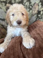 processed/be28ecac-3805-4ca2-a851-adab3a43f346/listing/16e1e02a-ad24-4eed-a798-d776c03cf718/a22e8deb-adb3-458c-b4d7-d84f6206ffc5