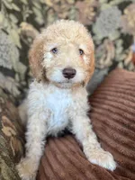 processed/be28ecac-3805-4ca2-a851-adab3a43f346/listing/16e1e02a-ad24-4eed-a798-d776c03cf718/aba0d7a7-e29a-4531-9383-5c68d8db19bc