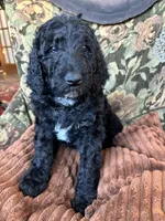 processed/be28ecac-3805-4ca2-a851-adab3a43f346/listing/aa521185-a87d-4de8-a0d6-e8fe03ef494f/69d39e9f-6d0a-4f27-8d39-9a06b720610f