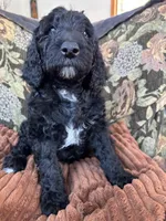 processed/be28ecac-3805-4ca2-a851-adab3a43f346/listing/aa521185-a87d-4de8-a0d6-e8fe03ef494f/a13373a4-7416-452d-8287-f4cdbd017caa