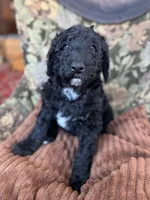 processed/be28ecac-3805-4ca2-a851-adab3a43f346/listing/aa521185-a87d-4de8-a0d6-e8fe03ef494f/ff1905ed-930f-4b40-b77c-ff249a77fbb5