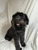 processed/be2e1759-5892-4146-8455-02cb7fd0a88e/facility/ab497190-fdf2-49b2-b630-cd9bbbfd9872