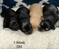 processed/be2e1759-5892-4146-8455-02cb7fd0a88e/facility/b17ff3e1-dd1f-4daa-b374-fb8d9384443e