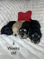 processed/be2e1759-5892-4146-8455-02cb7fd0a88e/listing/39e62ab9-aa21-4517-b6b8-14f16e561df0/21d4147b-fe8c-4e30-8fd1-56a1a107c372