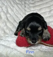 processed/be2e1759-5892-4146-8455-02cb7fd0a88e/listing/39e62ab9-aa21-4517-b6b8-14f16e561df0/5b555db1-9032-4cfa-ab5a-df3c6faae93c