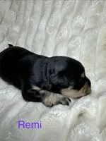 processed/be2e1759-5892-4146-8455-02cb7fd0a88e/listing/ac94365c-adce-4dd5-bfb6-4345512ac7ca/9d0778af-0ac6-461b-b2b7-688882c0dbee