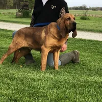 processed/be3f67c4-9a97-4263-b96f-c32546edb4d2/facility/b97d0a6a-570d-4f00-a891-c03a457f234e