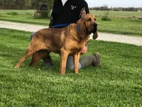 processed/be3f67c4-9a97-4263-b96f-c32546edb4d2/facility/b97d0a6a-570d-4f00-a891-c03a457f234e