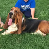 processed/be3f67c4-9a97-4263-b96f-c32546edb4d2/facility/d3a10b98-7fdd-4a32-9019-4c4371593210