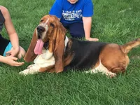 processed/be3f67c4-9a97-4263-b96f-c32546edb4d2/facility/d3a10b98-7fdd-4a32-9019-4c4371593210