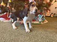 processed/be3f67c4-9a97-4263-b96f-c32546edb4d2/listing/908176e7-dff4-4377-9bd2-9ae8ecce1ee0/3868703e-921b-4cc8-8c06-0fa7bd43c574