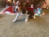 processed/be3f67c4-9a97-4263-b96f-c32546edb4d2/listing/908176e7-dff4-4377-9bd2-9ae8ecce1ee0/40ac8773-7677-4a80-9b15-6fa74527ad98