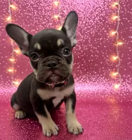 processed/be443dfb-4401-477d-8a81-d01b6791ed2b/listing/db2f3992-42e3-4b61-8d1a-e83df741ddca/154b285f-1702-4665-8d2e-895c2218da68