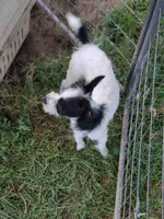 processed/be461449-18bc-499a-aee8-0e56b71fbed3/listing/57e7b8cf-4381-4187-b11c-45014036111d/290cf96e-3878-4ab7-9539-76808f1f9b11