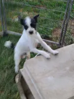 processed/be461449-18bc-499a-aee8-0e56b71fbed3/listing/57e7b8cf-4381-4187-b11c-45014036111d/2e4ba4f8-bc8f-414e-bd11-b83b0a164224