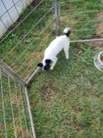 processed/be461449-18bc-499a-aee8-0e56b71fbed3/listing/57e7b8cf-4381-4187-b11c-45014036111d/64da08b9-89ae-4130-86b7-3106dc237732