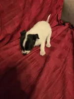 processed/be461449-18bc-499a-aee8-0e56b71fbed3/listing/677012e9-5139-4916-93c7-6a973601e1e6/36984384-8e05-4ed6-a42b-4bce5d8df2d1