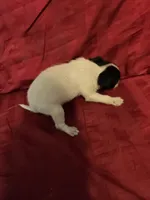 processed/be461449-18bc-499a-aee8-0e56b71fbed3/listing/677012e9-5139-4916-93c7-6a973601e1e6/980039a6-7efa-4507-9b53-433302bc66f0