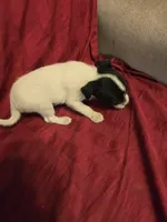 processed/be461449-18bc-499a-aee8-0e56b71fbed3/listing/677012e9-5139-4916-93c7-6a973601e1e6/aeddcc6b-e3ab-440b-8dee-43760fd1cbbd