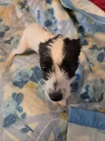 processed/be461449-18bc-499a-aee8-0e56b71fbed3/listing/6a29f310-a001-4fe3-a890-751a62f60175/c32caf99-bc12-4938-98ae-ae43d615803b