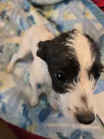 processed/be461449-18bc-499a-aee8-0e56b71fbed3/listing/6a29f310-a001-4fe3-a890-751a62f60175/cd854ea4-0d5e-448e-b724-16d8f1edb878